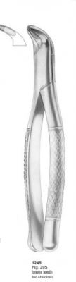  Fig. 29S lower teeth for children 